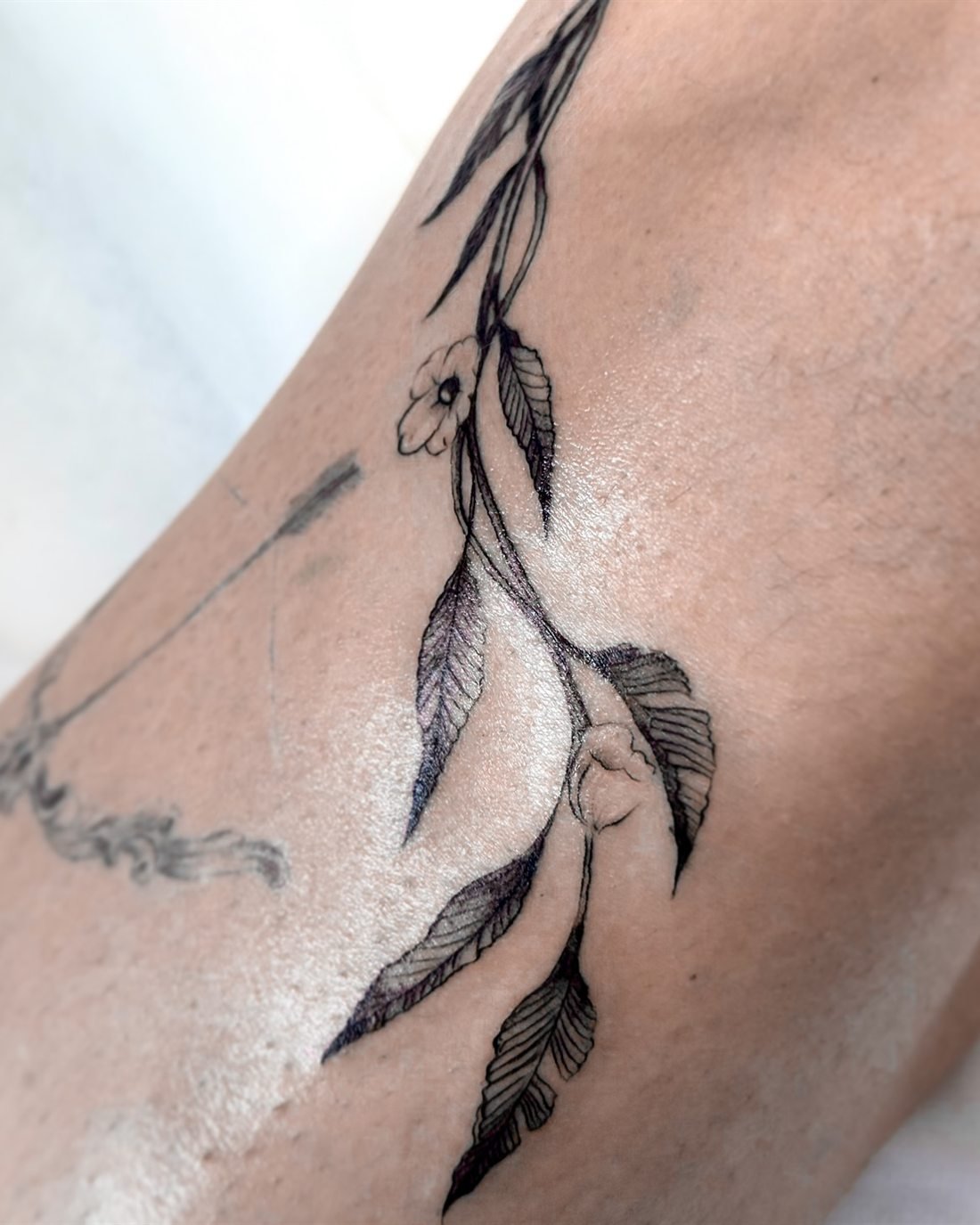 Tatouage d’une branche fleurie en trait fin