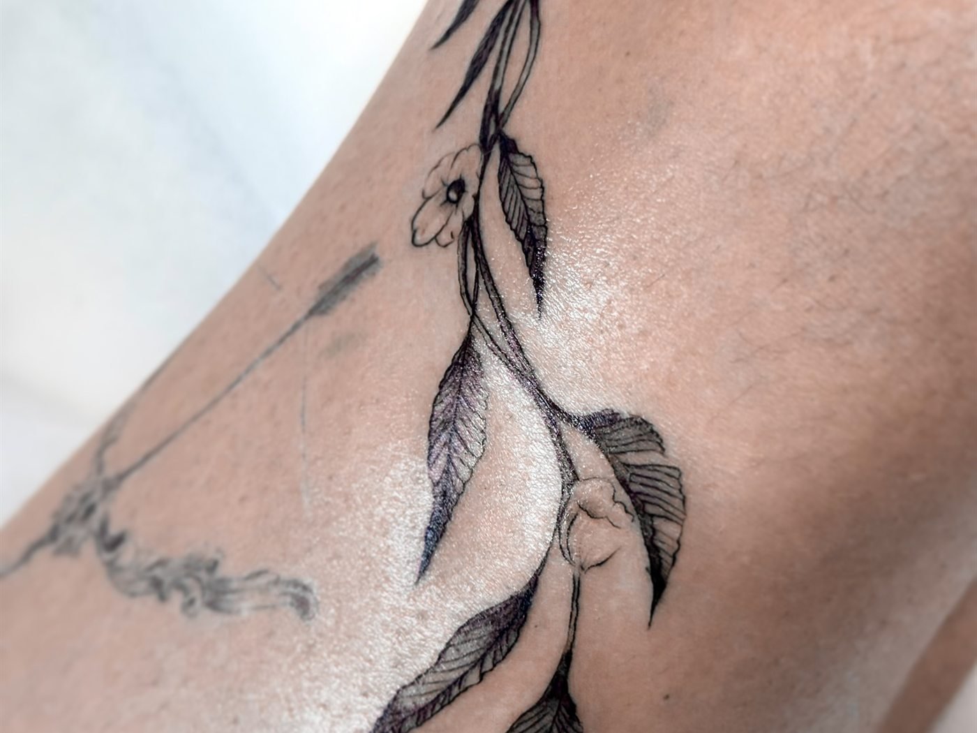 Exemple de tatouage en fine line
